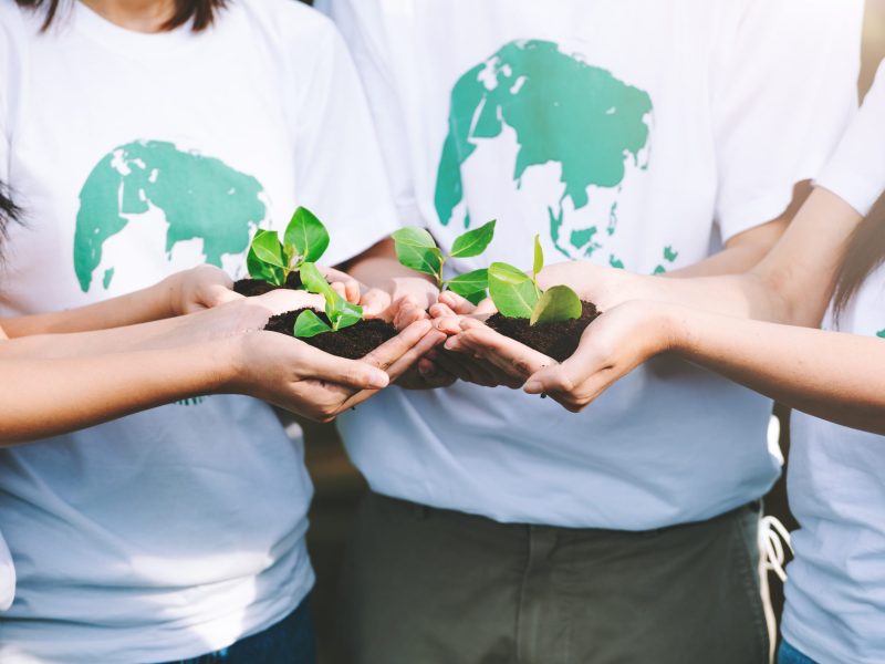 Group of diverse people volunteer conservation teamwork holding small plants seedling for growing in forest and park area on world environment day.